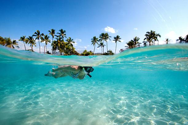 Snorkeler on the Big Island, Hawaii
